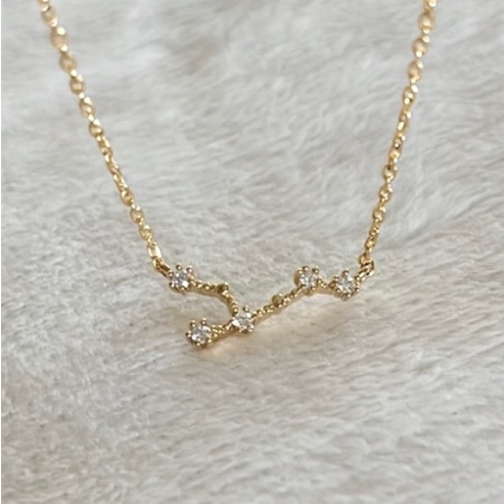 Wanderlust & Co Zodiac Necklace
